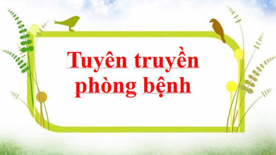 Tuyên truyền phòng bệnh sốt xuất huyết_Trường Mầm non Hoa Mai
